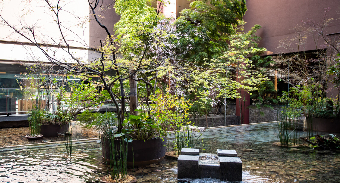 日本庭園の写真